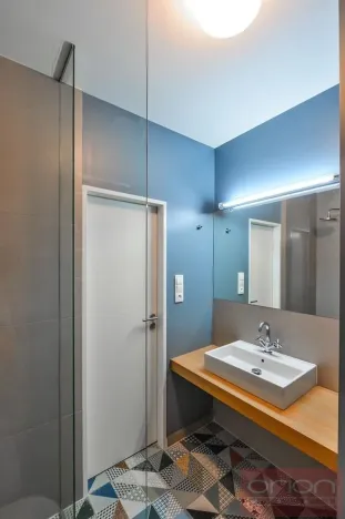 Pronájem bytu 1+kk, Praha - Vinohrady, Lucemburská, 300 m2