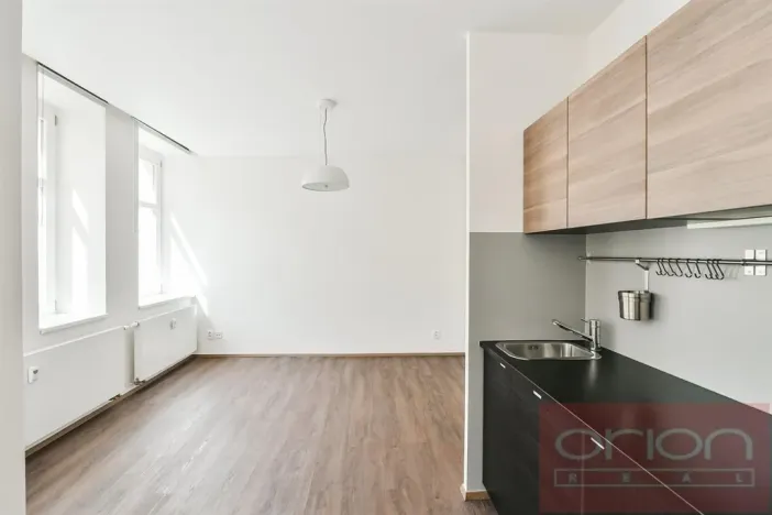 Pronájem bytu 1+kk, Praha - Vinohrady, Lucemburská, 30 m2
