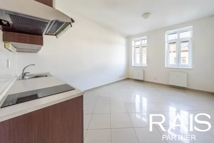 Prodej bytu 1+kk, Brno - Husovice, Svitavská, 30 m2