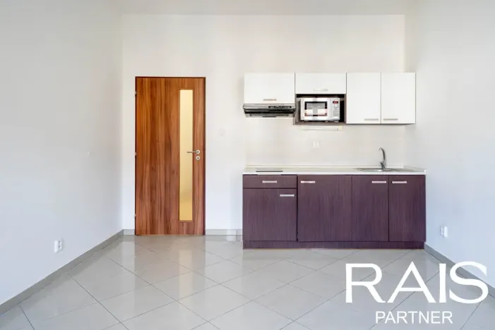 Prodej bytu 1+kk, Brno - Husovice, Svitavská, 30 m2