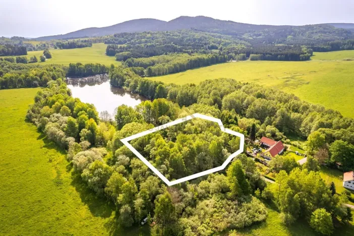Prodej pozemku, Benešov nad Černou - Hartunkov, 5446 m2
