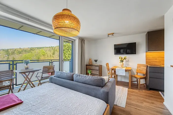 Prodej bytu 1+kk, Janov nad Nisou, 27 m2