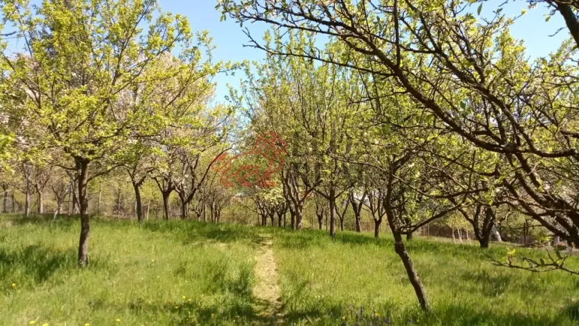 Prodej rodinného domu, Březová, 266 m2