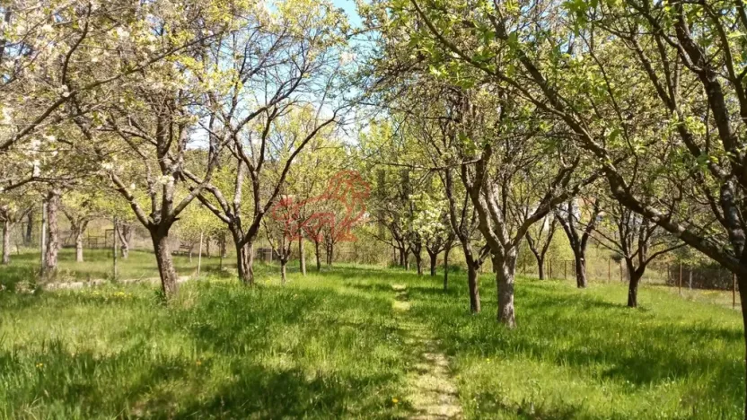 Prodej rodinného domu, Březová, 266 m2