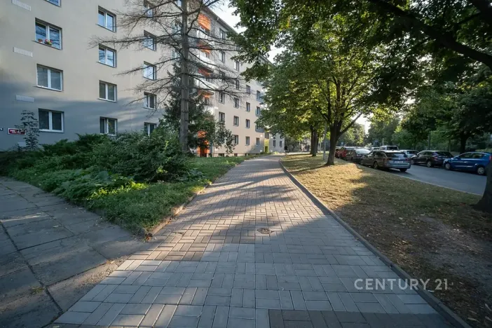 Pronájem bytu 2+1, Praha - Žižkov, Pod lipami, 52 m2