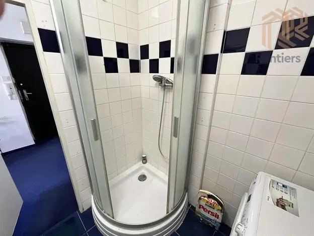 Pronájem bytu 1+kk, Praha - Vinohrady, Přemyslovská, 41 m2
