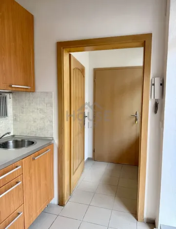 Pronájem bytu 1+1, Praha - Nusle, Slavojova, 33 m2