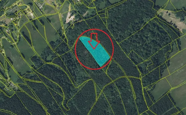 Prodej lesa, Liberec, 14111 m2