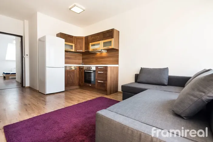 Pronájem bytu 2+kk, Brno, Anenská, 51 m2