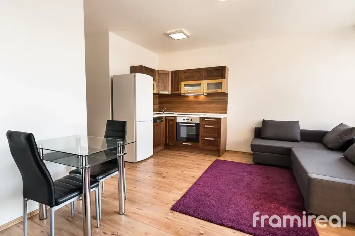 Pronájem bytu 2+kk, Brno, Anenská, 51 m2