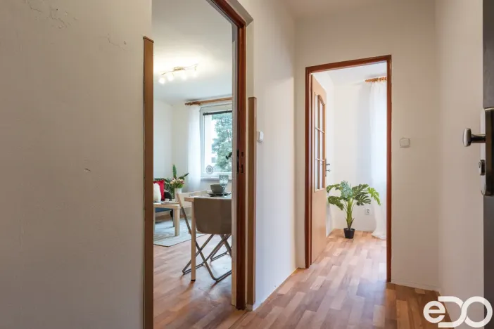 Pronájem bytu 2+kk, Borohrádek, Družstevní, 31 m2