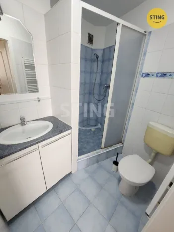 Prodej rodinného domu, Horní Moštěnice, Zámostí, 210 m2