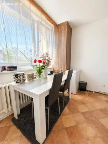 Pronájem bytu 1+1, Jihlava, Březinova, 33 m2