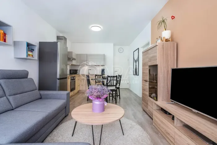 Prodej bytu 2+kk, Praha - Košíře, Vrchlického, 49 m2