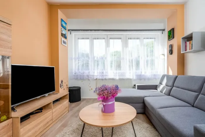 Prodej bytu 2+kk, Praha - Košíře, Vrchlického, 49 m2