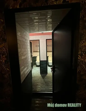 Pronájem restaurace, Praha - Nové Město, Ječná, 209 m2