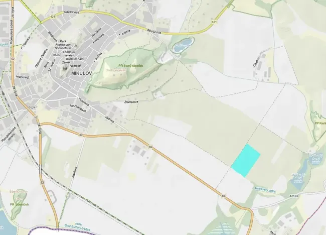 Prodej sadu/vinice, Mikulov, 99149 m2