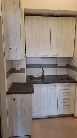 Pronájem bytu 1+kk, Praha - Strašnice, Černokostelecká, 39 m2