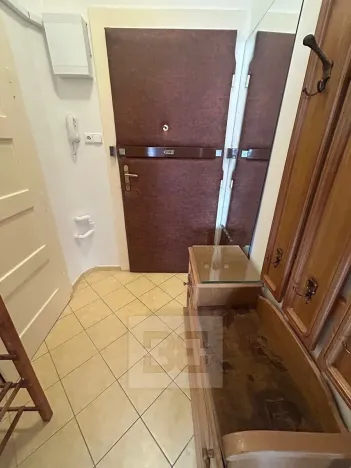 Pronájem bytu 1+kk, Praha - Nusle, U křížku, 28 m2