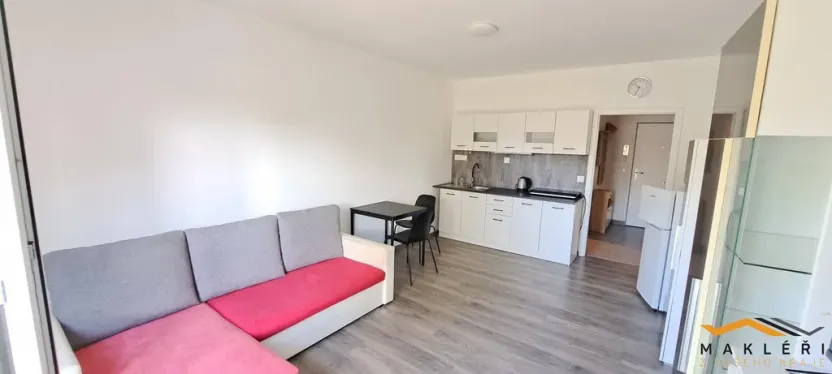 Pronájem bytu 1+kk, Polná, Pojmannova, 33 m2