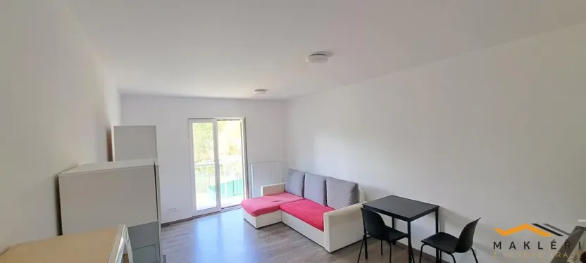 Pronájem bytu 1+kk, Polná, Pojmannova, 33 m2