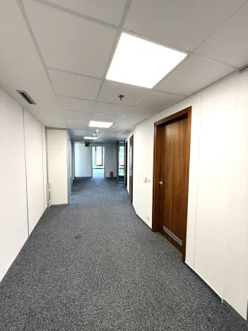 Pronájem kanceláře, Brno, Úzká, 300 m2