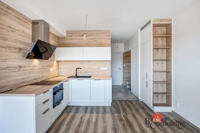 Pronájem bytu 1+kk, Plzeň - Východní Předměstí, Kartónová, 38 m2