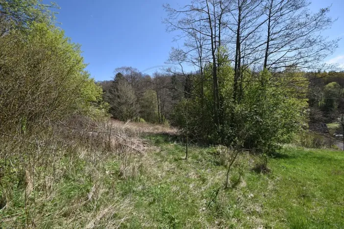Prodej pozemku pro bydlení, Jeseník, 3985 m2