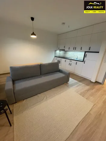 Pronájem bytu 1+kk, Opava, Kačírkova, 32 m2