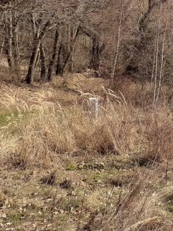Prodej pozemku pro bydlení, Místo - Blahuňov, 3408 m2