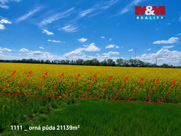 Prodej pozemku, Pňov-Předhradí, 151762 m2