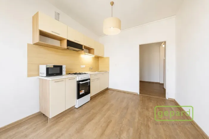 Prodej bytu 2+1, Ostrov, S. K. Neumanna, 64 m2