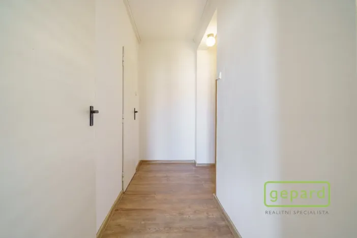 Prodej bytu 2+1, Ostrov, S. K. Neumanna, 64 m2