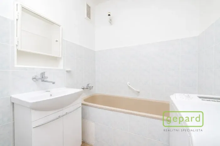 Prodej bytu 2+1, Ostrov, S. K. Neumanna, 64 m2