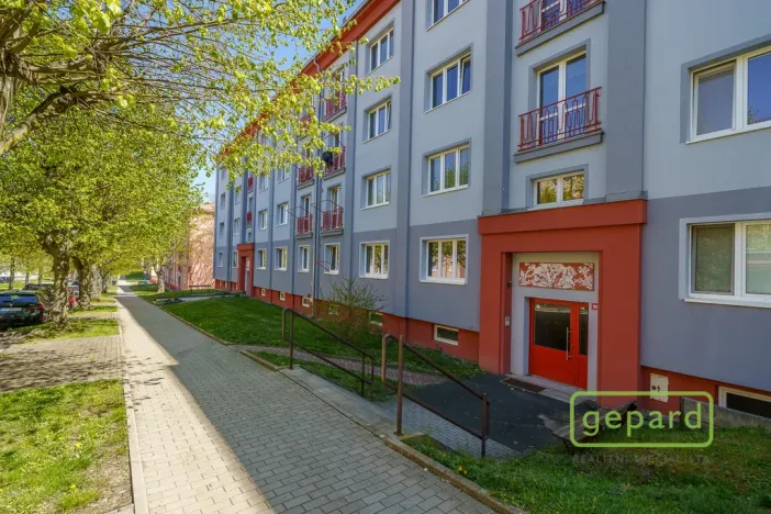 Prodej bytu 2+1, Ostrov, S. K. Neumanna, 64 m2