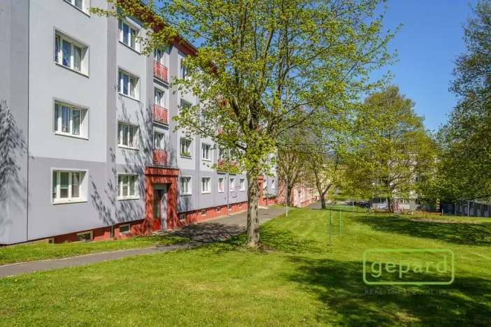 Prodej bytu 2+1, Ostrov, S. K. Neumanna, 70 m2