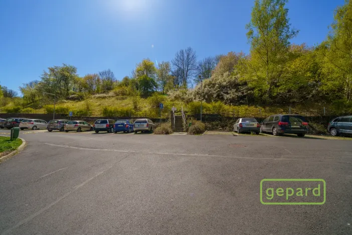 Prodej bytu 2+1, Ostrov, S. K. Neumanna, 70 m2