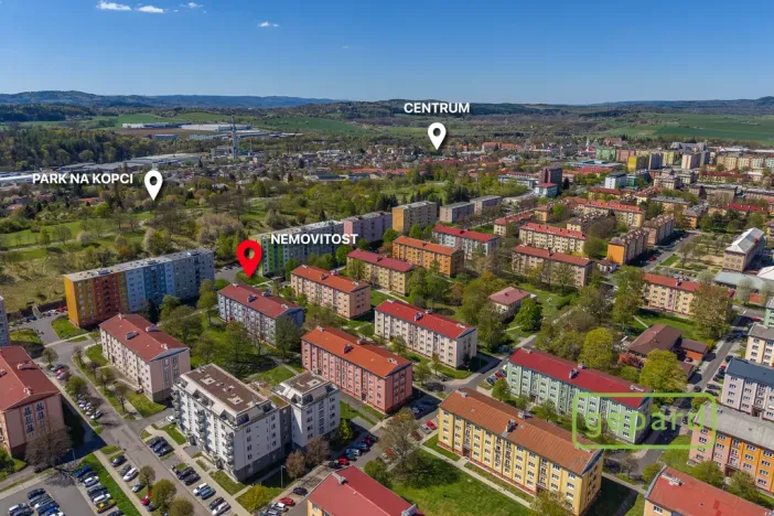 Prodej bytu 2+1, Ostrov, S. K. Neumanna, 70 m2