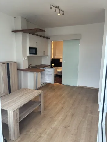 Pronájem bytu 1+kk, Hradec Králové, Brožíkova, 22 m2
