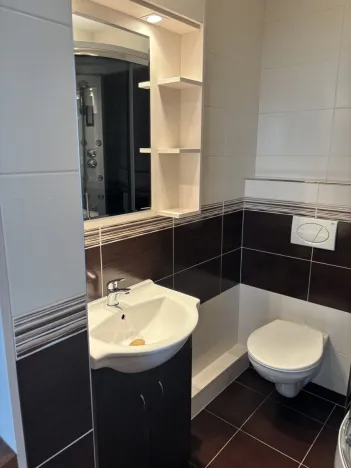 Pronájem bytu 1+kk, Hradec Králové, Brožíkova, 22 m2