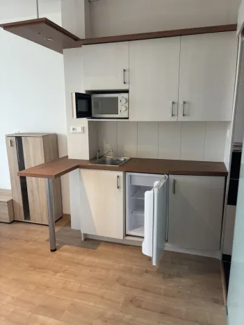 Pronájem bytu 1+kk, Hradec Králové, Brožíkova, 22 m2