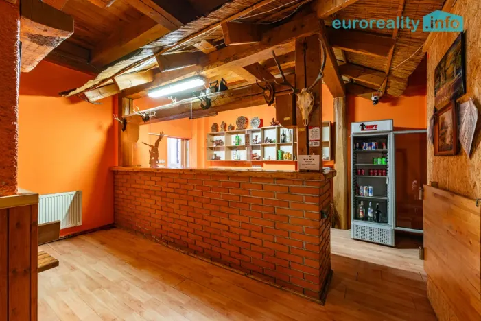 Prodej restaurace, Velká Hleďsebe, Havlíčkova, 229 m2