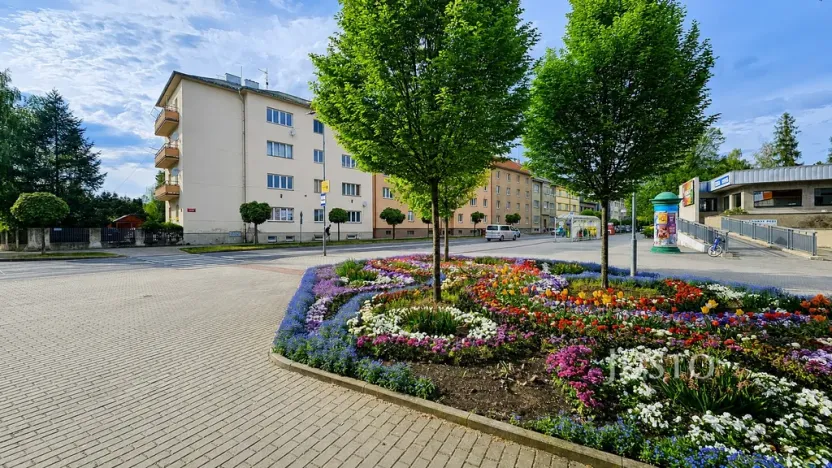 Prodej bytu 3+1, Písek - Budějovické Předměstí, Baarova, 80 m2