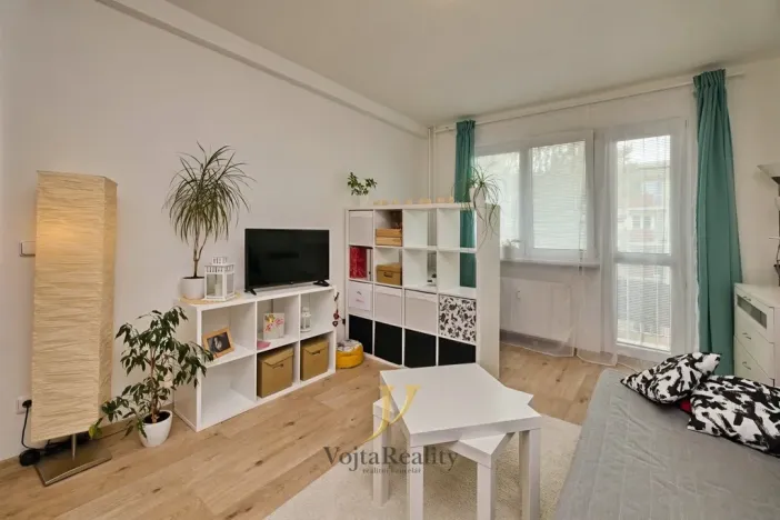 Pronájem bytu 1+1, Olomouc - Nová Ulice, Dělnická, 41 m2