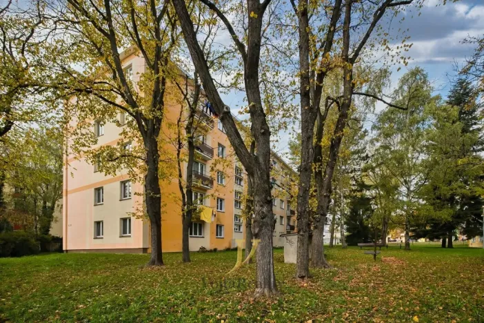 Pronájem bytu 1+1, Olomouc - Nová Ulice, Dělnická, 41 m2
