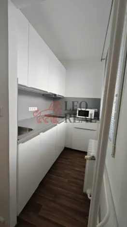 Pronájem bytu 1+kk, Praha - Podolí, Kaplická, 33 m2