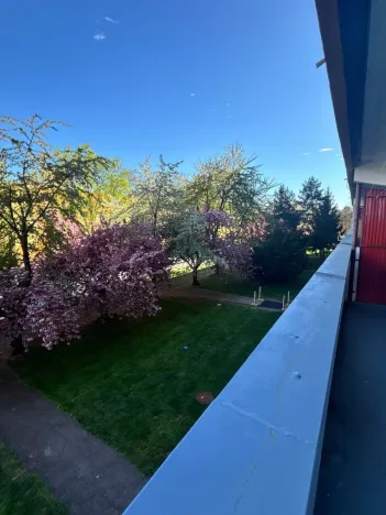 Pronájem bytu 1+kk, Hradec Králové, Jungmannova, 39 m2
