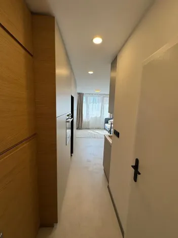 Pronájem bytu 1+kk, Praha - Záběhlice, Narcisová, 24 m2