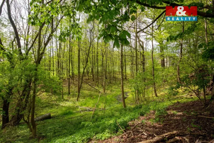 Prodej pozemku pro bydlení, Šenov, 6241 m2
