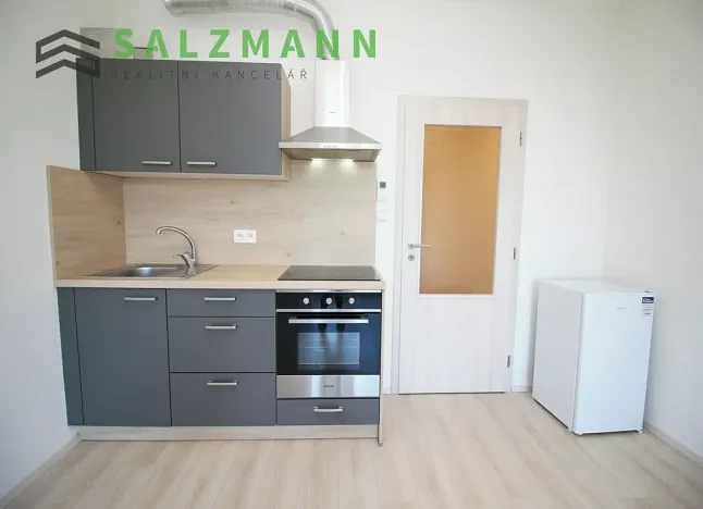 Pronájem bytu 1+kk, Plzeň, Nemocniční, 29 m2